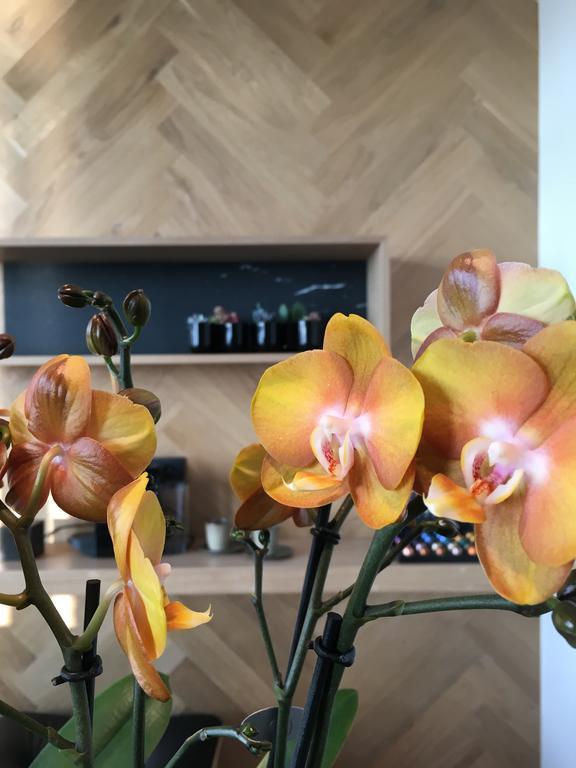 Kaai11 - Riverview Lofts &